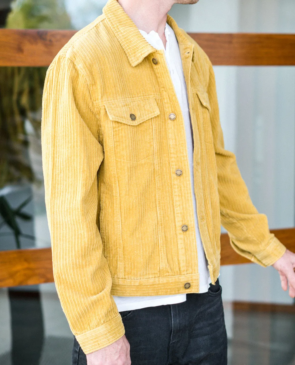 Rollas Morrison Honey Cord Jacket