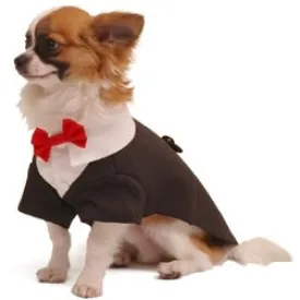 ruff dog tuxedo